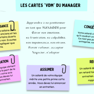 Les Cartes VDM du Manager