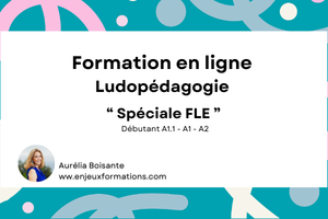 Atelier de ludopédagogie FLE avec étiquettes, cartes et cube de conjugaison pour enseigner le français aux débutants.